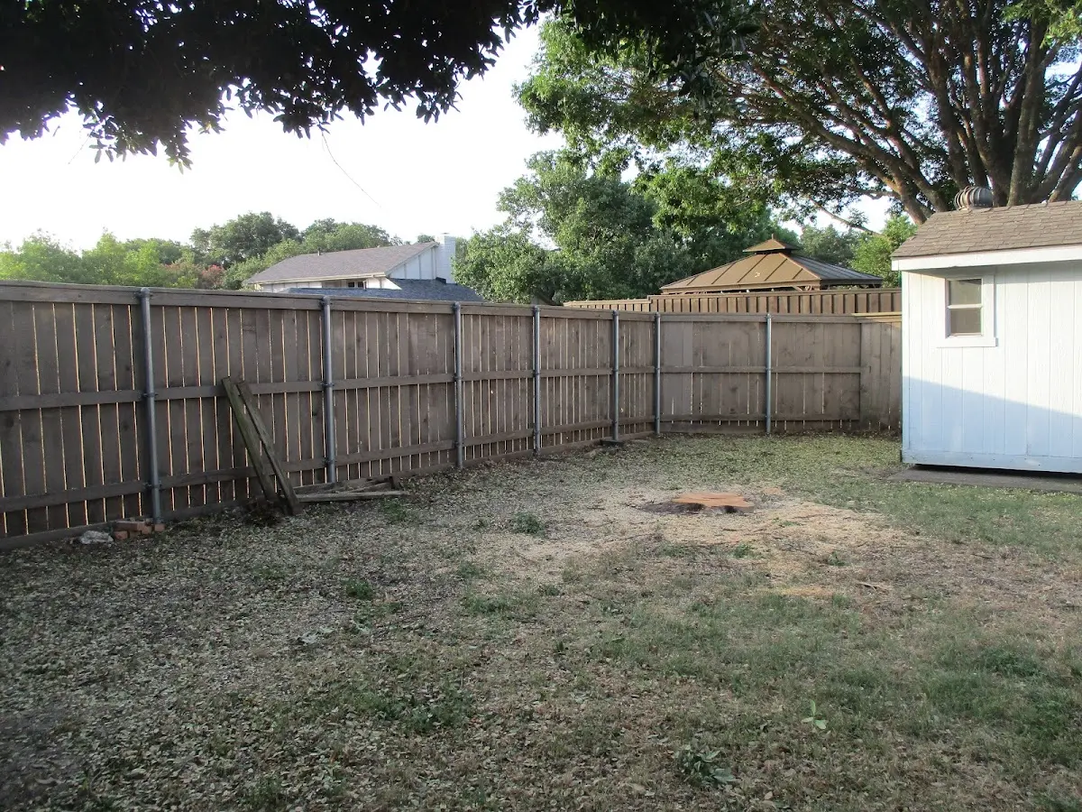 Cleared yard after professional tree removal in Cooksville